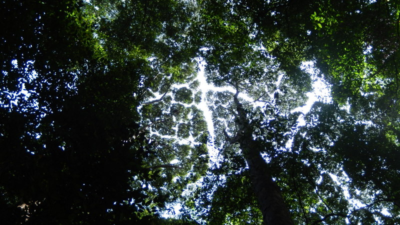 0778 DSCN0706